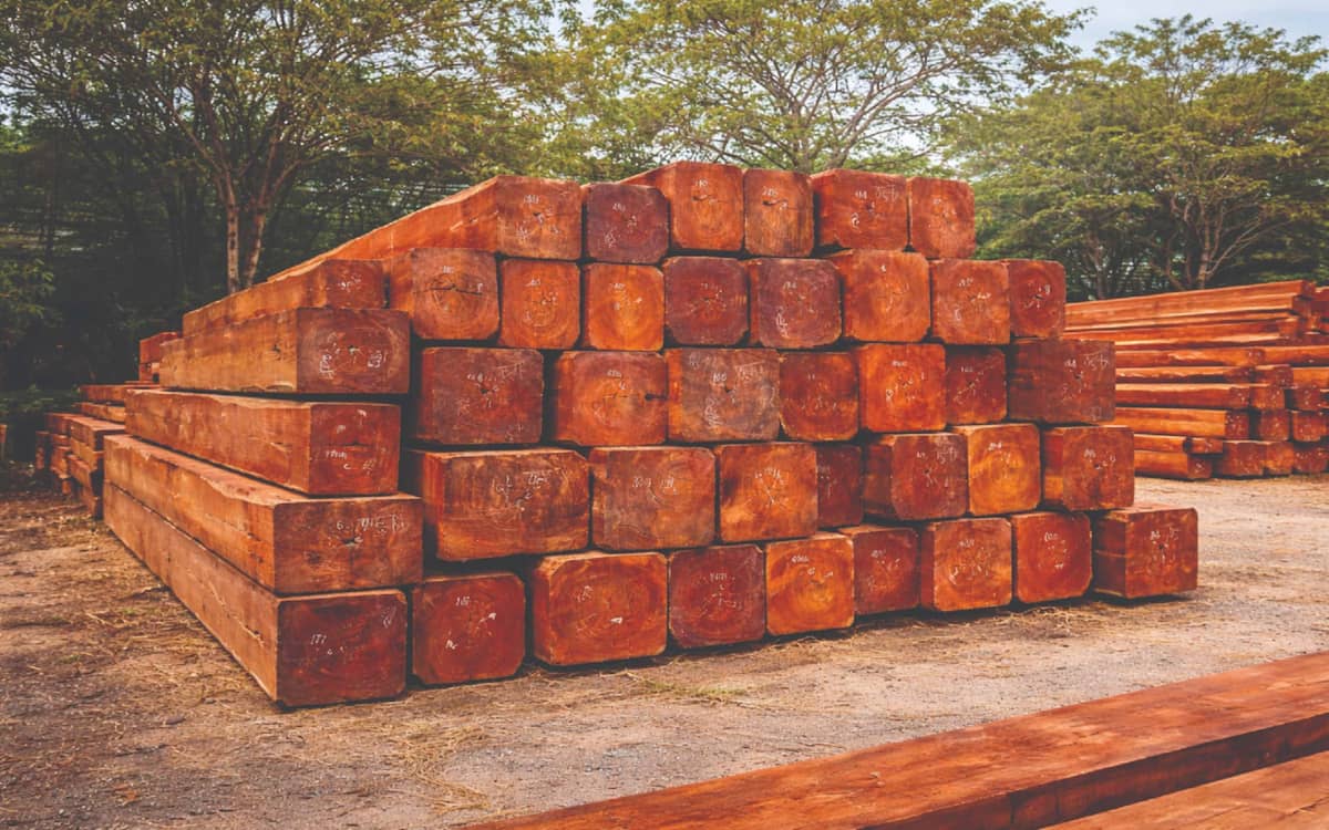 Gỗ căm xe